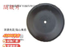 點(diǎn)擊查看詳細(xì)信息<br>標(biāo)題：氣動(dòng)隔膜泵配件-隔膜片 閱讀次數(shù)：251